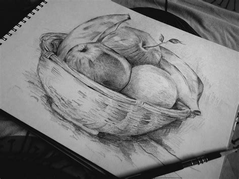 Fruit Basket Pencil Sketch