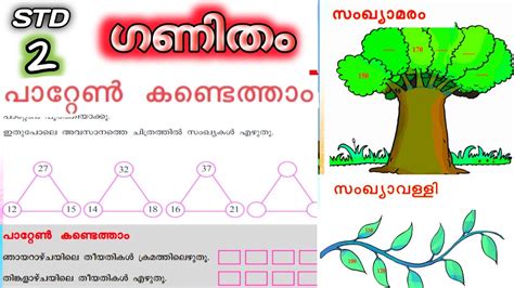 Std Maths Unit How To Solve Maths Pattern Class Maths Christmas