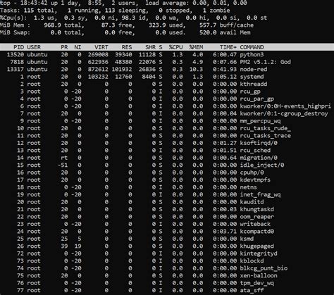 D L Dinamikus Asser Cpu Usage Command In Unix P Cs Lt Ny