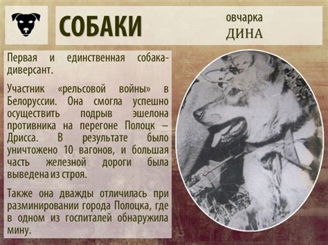 Животные - герои Великой Отечественной войны. Весь материал в документе ...