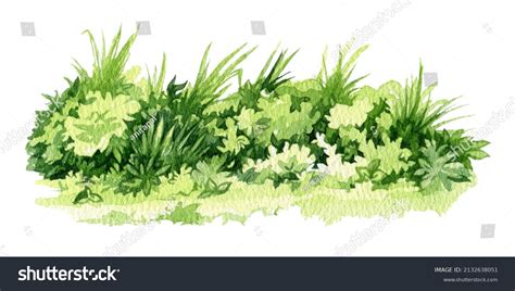 127,356 Green grass watercolor Images, Stock Photos & Vectors ...