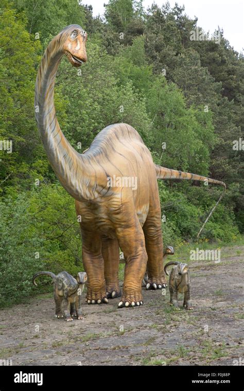 Diplodocus A Large Herbivorous Extinct Sauropod Dinosaur Of The Jurassic Period Dinosaurier Park