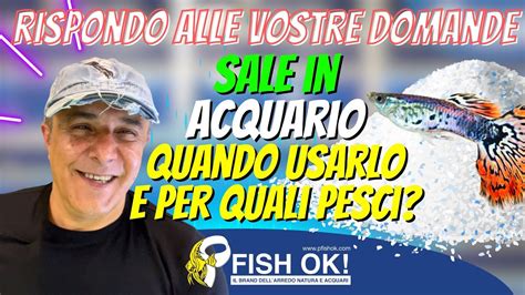 Sale In Acquario Quando Usarlo E Con Che Pesci Rispondo Alle