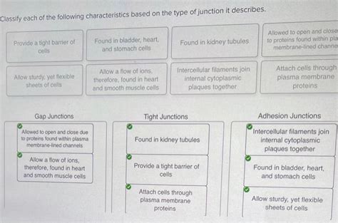 Solved Classify Each Of The Following Characteristics Based Chegg