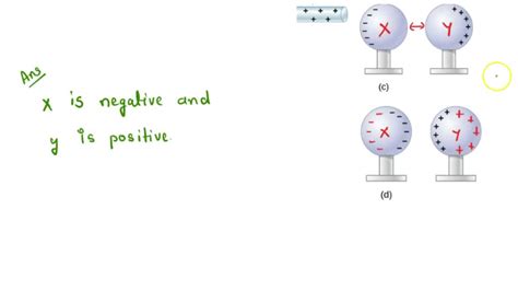 Solved Problem Z Xand Y Are Two Uncharged Metal Spheres On Insulating