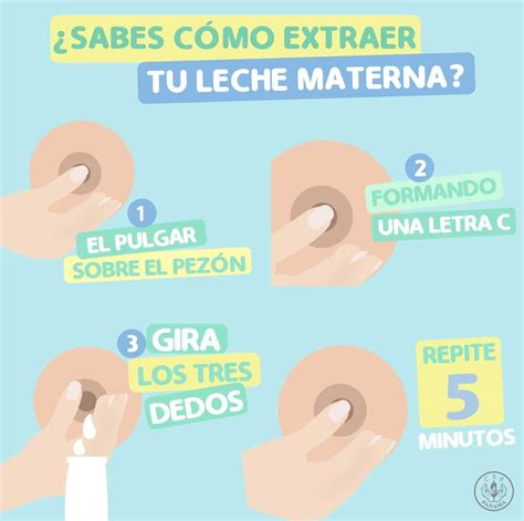 C Mo Se Realiza La Extracci N Manual De La Leche Materna Mibbmemima