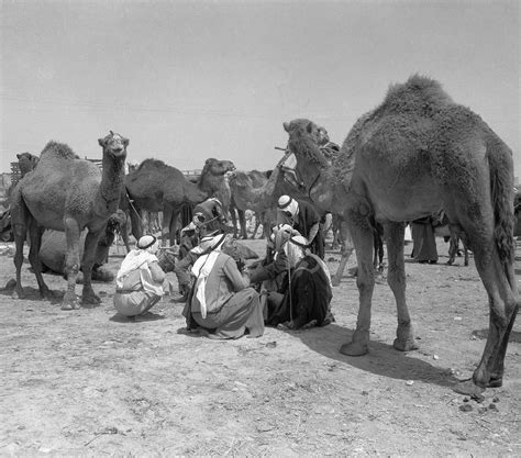 Israel's 'scapegoat' Bedouins reel from wartime hardship | The Times of
