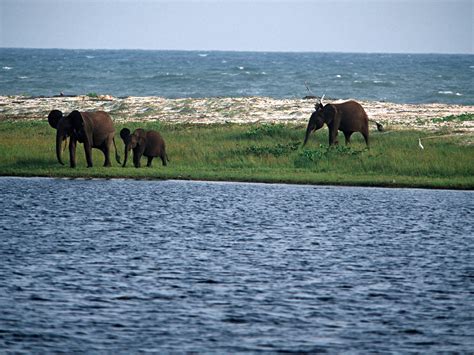 Gabon travel destinations - Lonely Planet