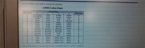 Solved: Use the mRNA codon table to answer the question. mRNA Codon ...