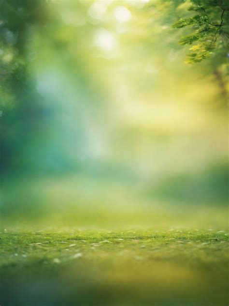 🔥Blur Forest Nature CB Free Background New Images Download | PsBackground