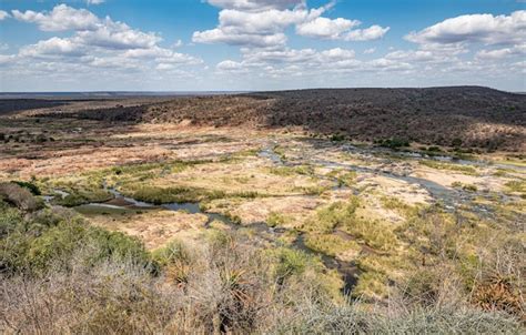 Río limpopo olifants en el parque nacional kruger Foto Premium