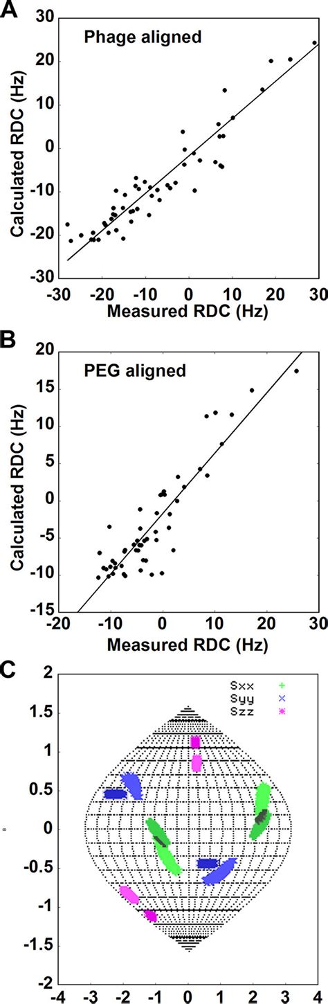 Using Residual Dipolar Coupling Data On Non Glycosylated CEACAM1 Ig V