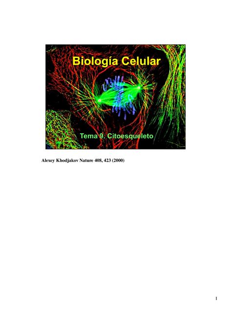 Citoesqueleto Resumen Alexey Khodjakov Nature 408 423 2000