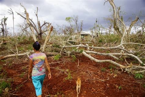 El Huracán Matthew Deja Daños Por 63 Millones Usd En Cuba