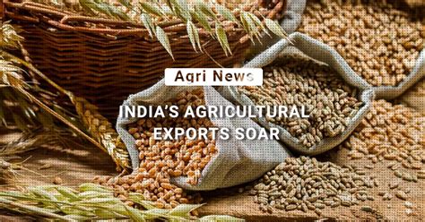 Farmers Reap The Benefits India S Agricultural Exports Soar To New