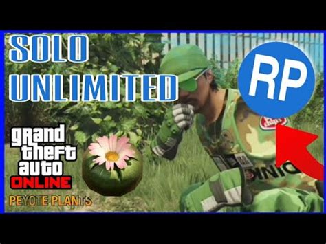 Solo Peyote Rp Glitch In Gta Online Rank Up Fast Youtube