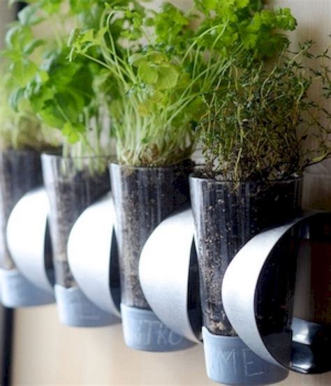 The Best Indoor Herb Garden Ideas For Your Home And Apartment No 08