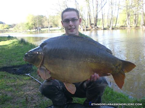 Archives Des Amour Blanc Etang De La Basse Morliere