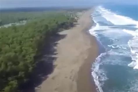 Pantai Petanahan Melodi Keindahan Alam Dan Keunikan Tradisi Di