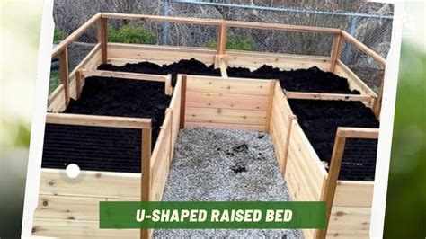 What Is A Raised Garden Bed Ray Garden Day