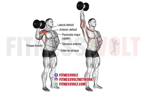 Dumbbell One-Arm Overhead Press (Shoulders) ~ healthtasy.com