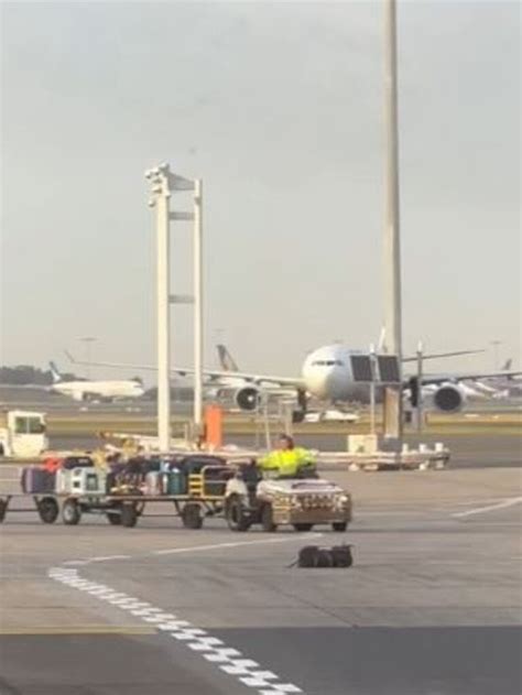 Qantas Baggage Handler Filmed Losing Luggage On Tarmac At Sydney