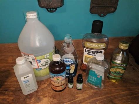 Easy Homemade Fly Spray Recipe • New Life On A Homestead