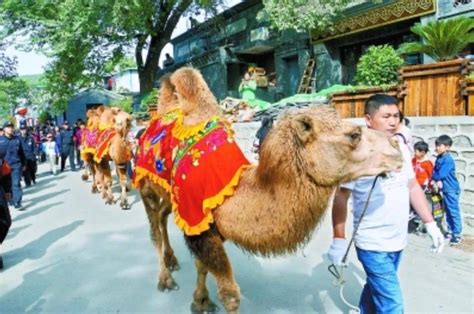 规划解读丨古道声声，模式口历史文化街区保护更新规划探索发展地区北京市