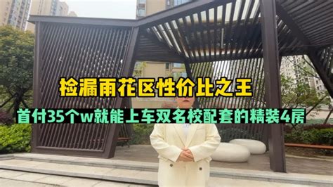 捡漏雨花区性价比之王，首付35个w就能上车双名校配套的精装4房 Youtube