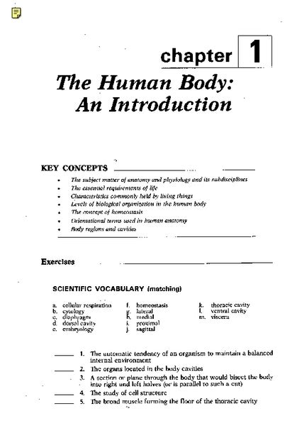 The Human Body An Introduction Worksheet For 7th 11th Grade Lesson