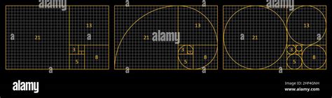 Golden Ratio Fibonacci Set Stock Vector Image Art Alamy