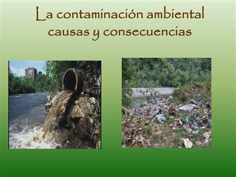 La Contaminación Ambiental Causas Y Consecuencias