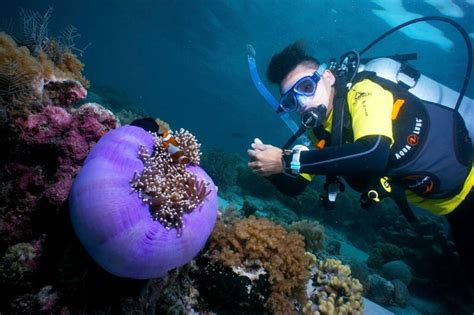 Tun Sakaran Marine Park Places To Visit And Things To Do 2024