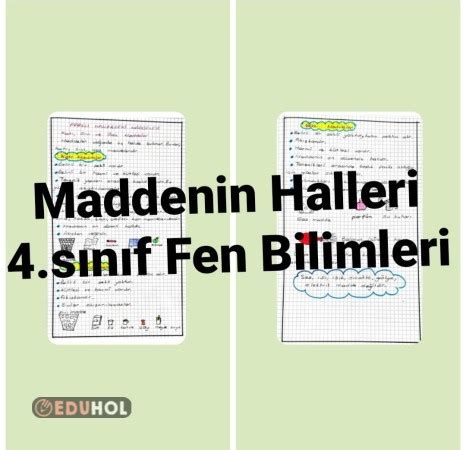 Maddenin Halleri Eduhol Etkinlik Ndir Oyun Oyna Test Z Video Zle