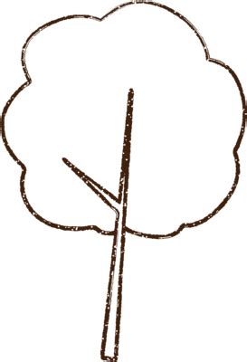 Tree Outline PNGs for Free Download