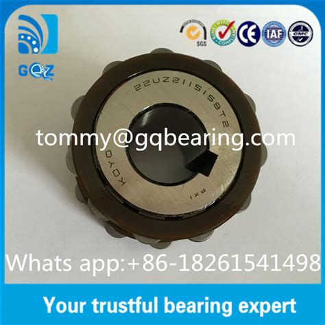 Nylon Cage Eccentric Cylindrical Roller Bearing For Reducer Koyo
