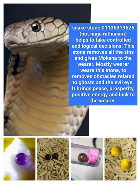 Discover the Mystical Powers of Snake Stone