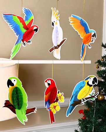 Amazon Pieces Tropical Birds Honeycomb Paper Cutouts Parrot