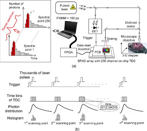 Figure From Timegated Raman And Laserinduced Breakdown Spectroscopy