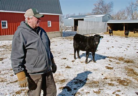 Canada’s cow-calf exodus | The Western Producer