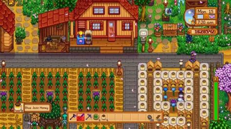 13 Best Stardew Valley Farm Layout Ideas