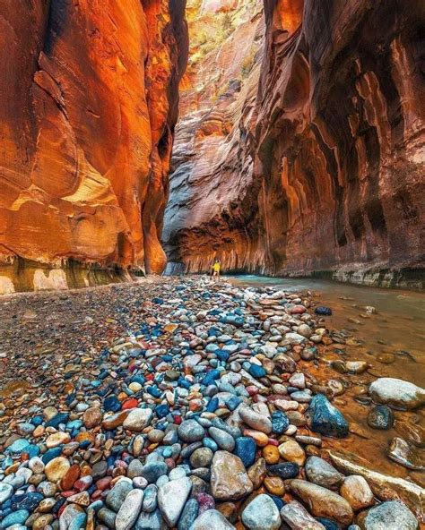 The Narrows Zion National Park In Utah R Natureisfuckinglit