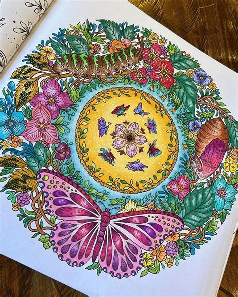 Coloring Books On Instagram Lagarta Borboleta Menis Art