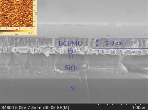 The Typical Cross Section Of BCFMO Thin Film On Pt Ti SiO2 Si