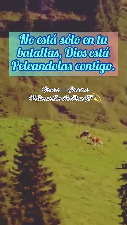 Dios Pelea Tus Batallas Por Ti Dios Amoajesus Alabanza Jesus