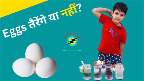 Floating Eggs Experiment I Eggs तैरेंगे या नहीं Youtube