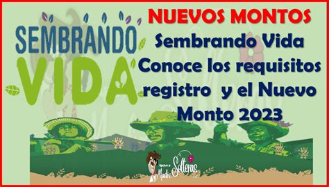 Nuevo Monto Sembrando Vida Consulta Informaci N Requisitos Y Registro