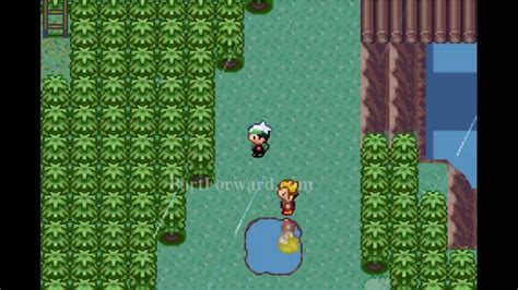 Pokemon Emerald Walkthrough Road To The Seventh Gym Route