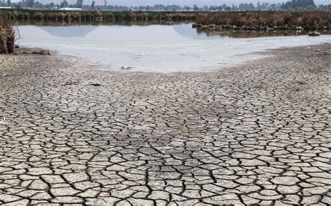 Sequía impacta a América del Norte 23 del territorio está en dicha