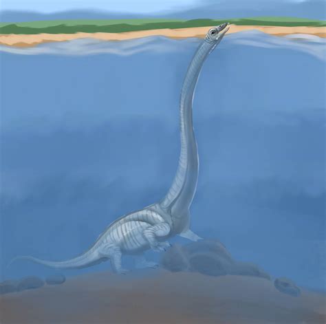 Tanystropheus Paleoart By Henriquesantos2810 On Deviantart